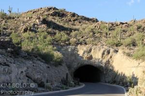 Tucson MLS Listings Saguao Ranch