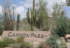Canyon Pass homes in dove mountain Canyon Pass