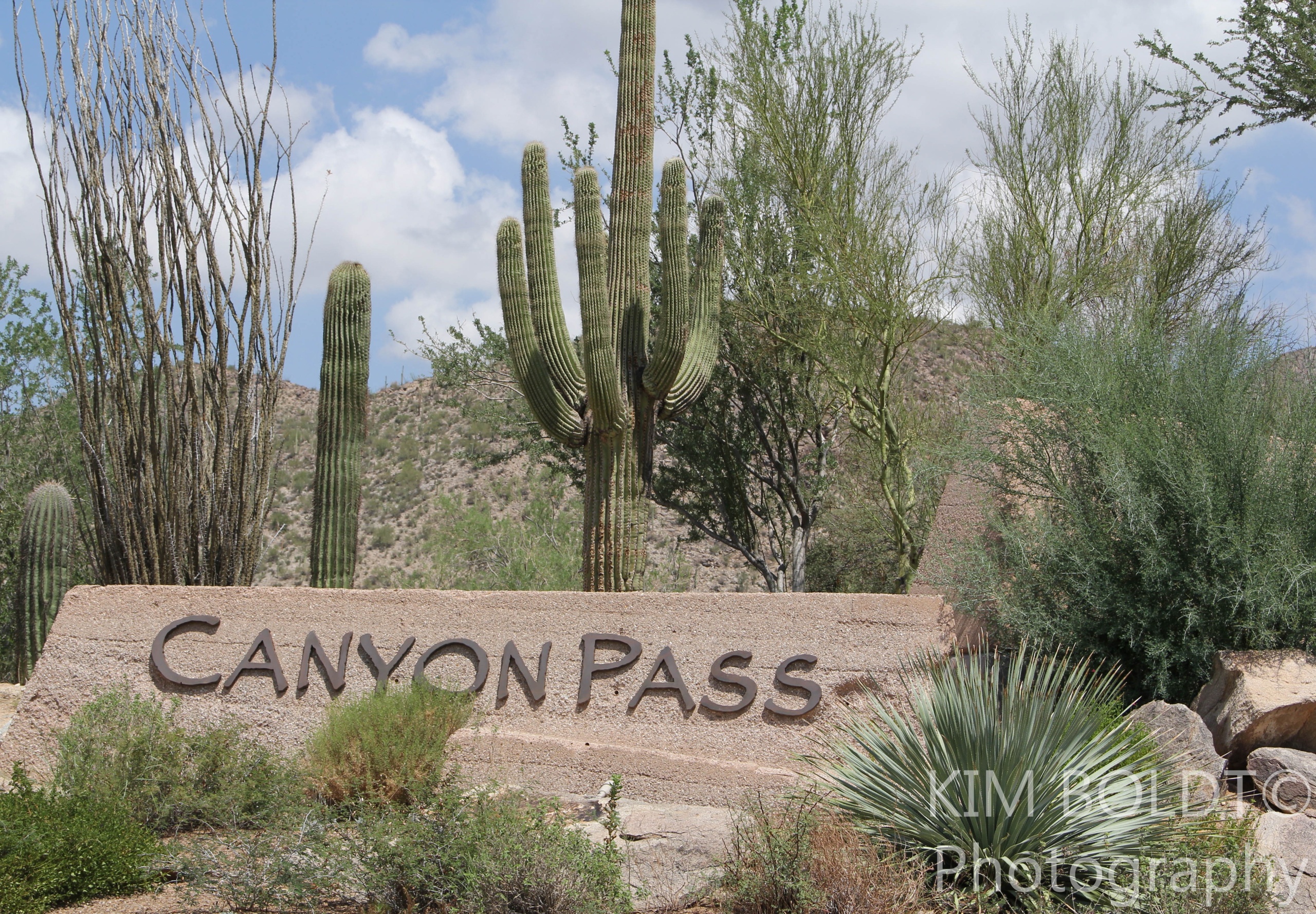 dove mountain canyon pass