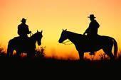 Tucson Horse Properties 2