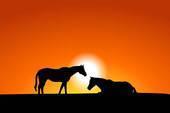 Horse Properties for sale Horse Properties for sale Over $500000