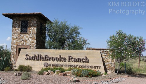 saddlebrooke ranch villas