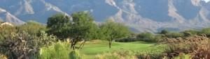 The Views Golf Course Oro Valley AZ