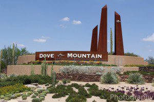 Dove Mountain Homes new listing