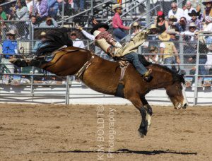 blog post rodeo