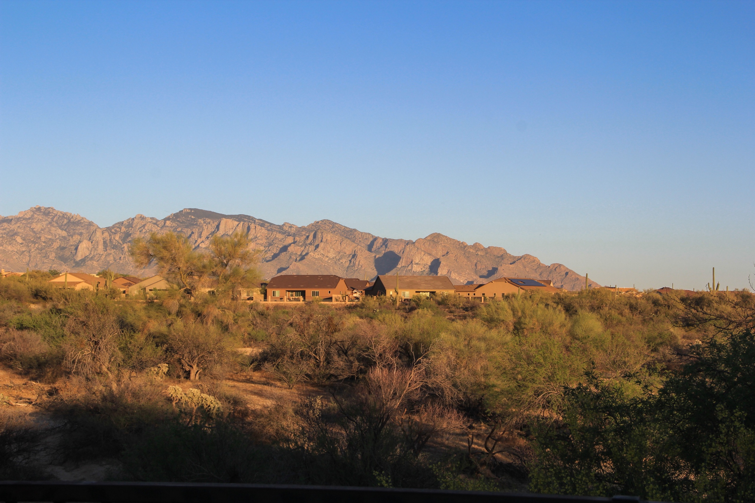dove mountain view