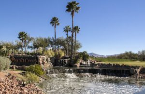 Quail Creek az homes for sale