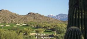 gallery golf club dove mountain