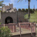 International Wildlife Museum
