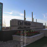 Homes for sale Del Webb At Dove Mountain