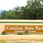 Visit Catalina State Park