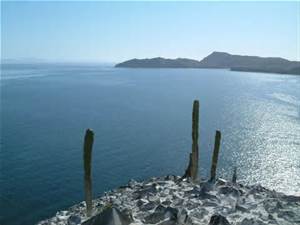Gulf Of California