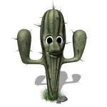 saguaro bloom, Saguaro Bloom Community Homes Marana AZ