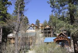 Newsletter Mt Lemmon April may news letter