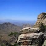 April 2023 newsletter