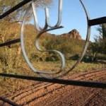 white stallion ranch