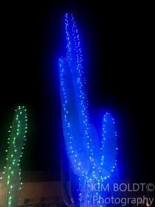 Tucson Homes Newsletter December 2014