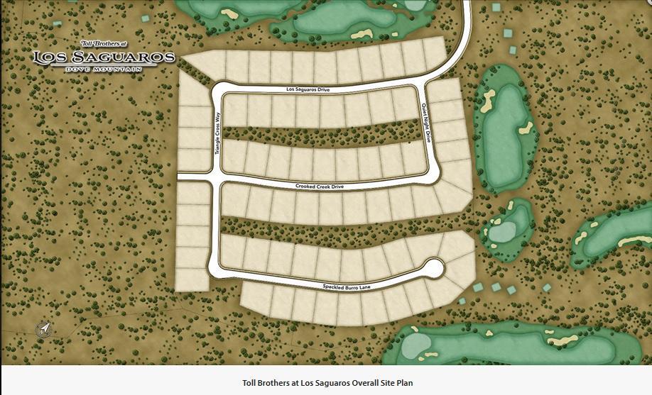overall Toll Brothers at los saguaros site plan Toll Brothers at los saguaros site plan overall