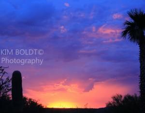 desert sunset