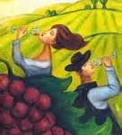 Sonoita & Elgin Vineyards