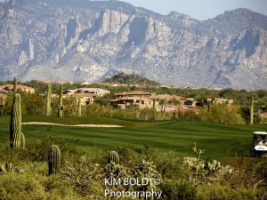 Gallery at dove mountain homes