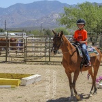 horse properties for sale