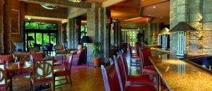 Flying V restaurant