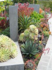xeriscape walk trim tucson homes az