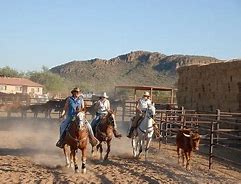 Horse riders tucson az