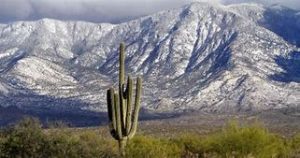 February 2025 newsletter winter in tucson