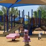 saguaro bloom play ground
