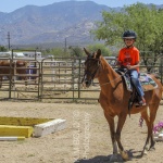 Horse Property