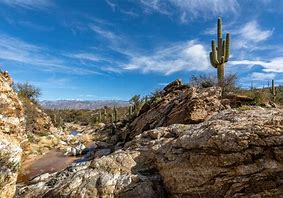 dove mountain homes for sale, Dove Mountain Homes For Sale