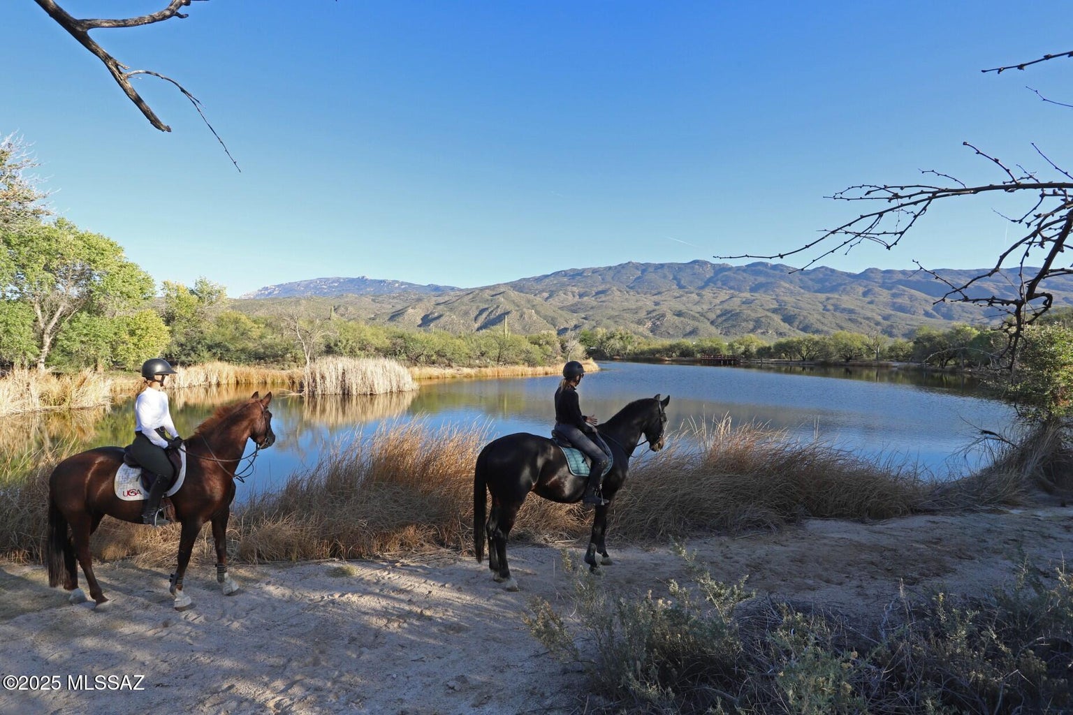 Horse Property for sale in Tucson AZ
